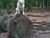 2013-06-13-16-24-54
