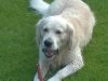 Pascha ist happy