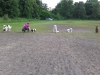 hundeschule