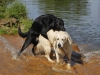 pascha-im-wasser-unterworfen