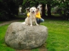 dogandkid1