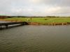 wp_20131101_012