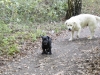 HENRY UND PASCHA
