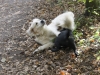 HENRY UND PASCHA
