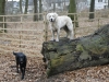 Agility