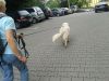 20130812_180718