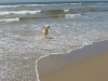 oscar-im-meer