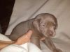 Pablo in der Hand