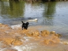 pascha-auf-der-flucht-im-wasser