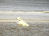 sypascha-in-der-nordsee
