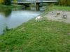 wp_20131108_002