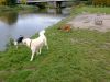 wp_20131108_003