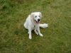 wp_20131027_003